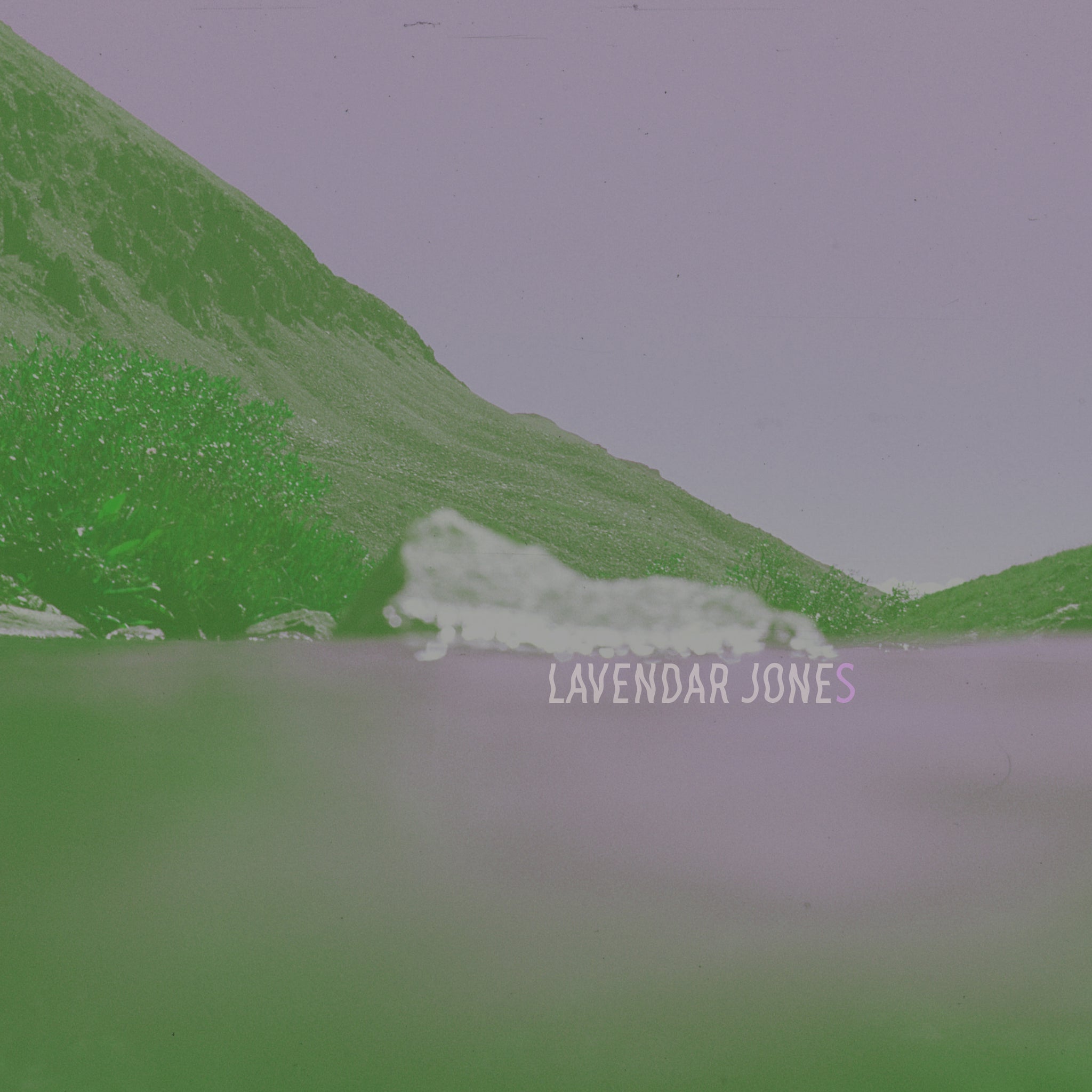 Lavender Jones